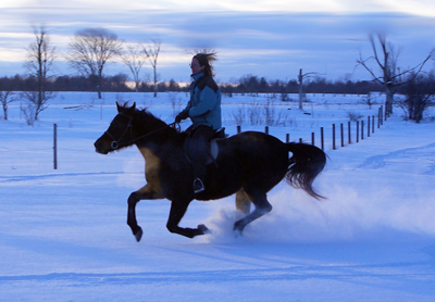 horse and rider