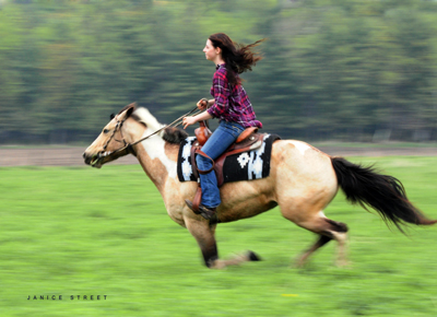 horse and rider