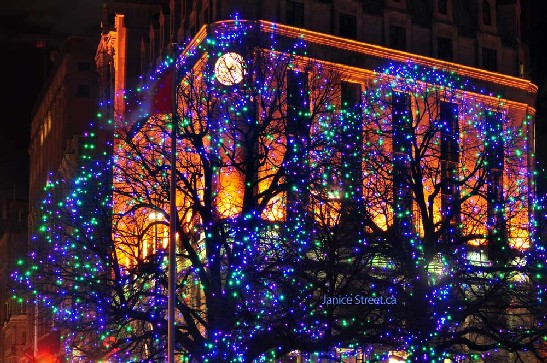 Christmas lights