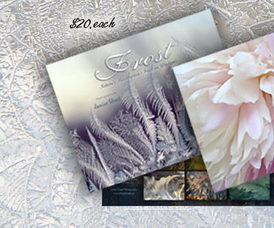 Peony Calendar